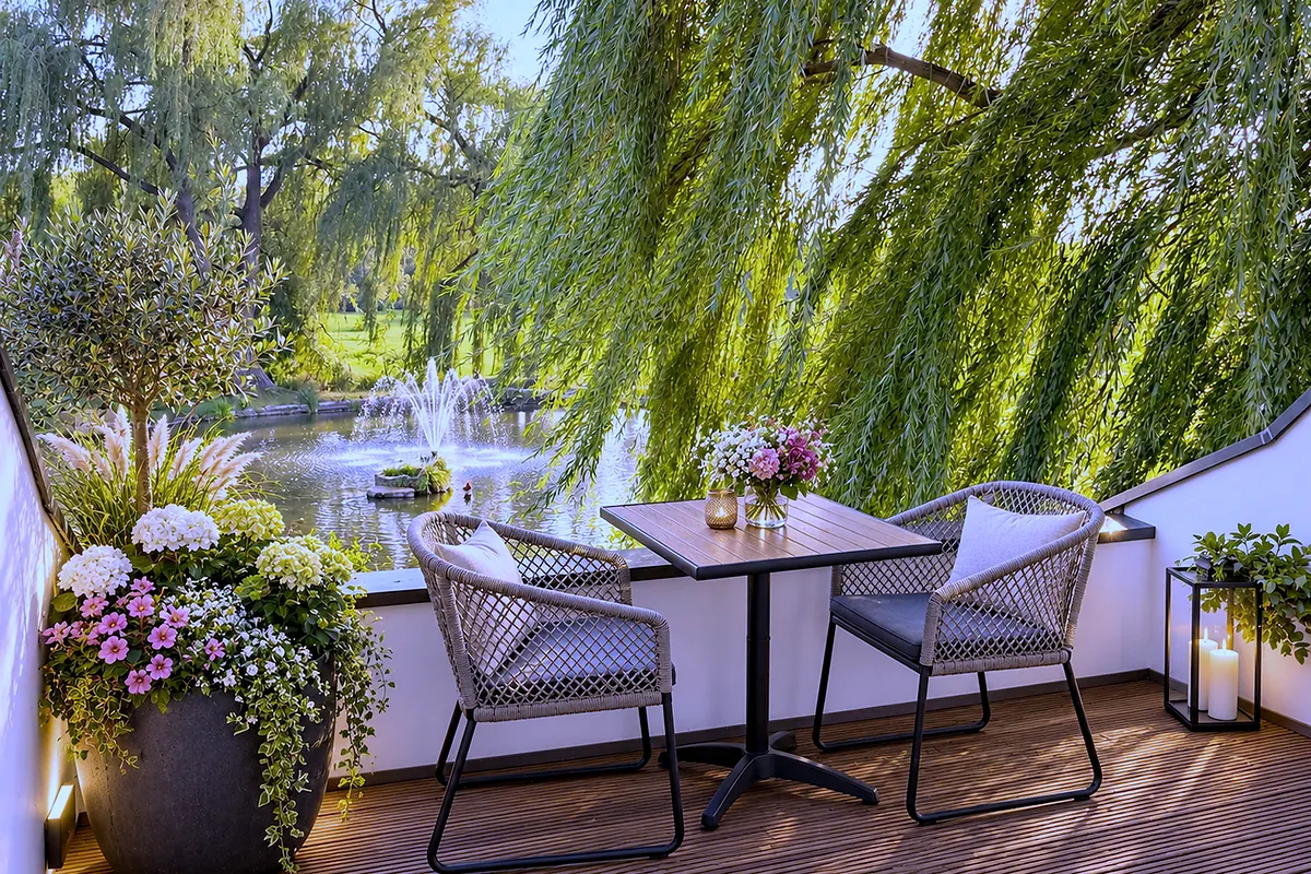 Terrace, 14 Schwarzer Schwan